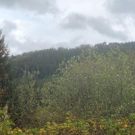 Fewo Berg Idyllika Willingen  Extérieur photo