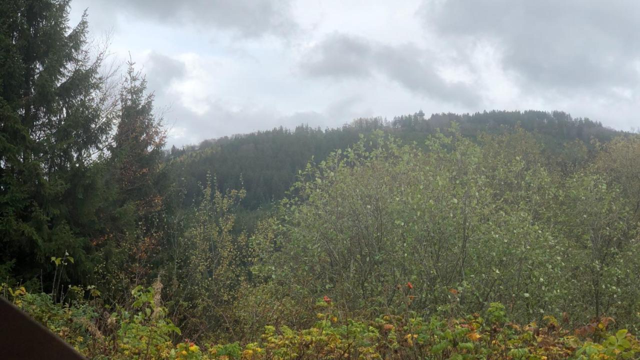 Fewo Berg Idyllika Willingen  Extérieur photo
