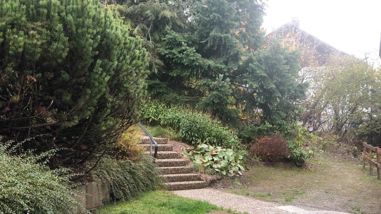 Fewo Berg Idyllika Willingen  Extérieur photo